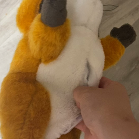 呪われしラスカルの画像