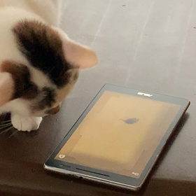 面白い？の画像