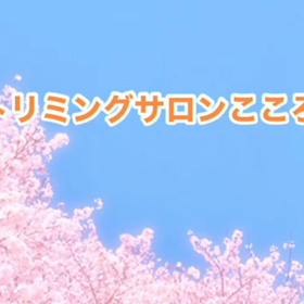 3月　〜スライドショー〜の画像