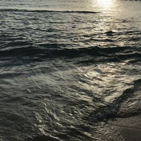 この方のブログ（お写真）に心がすぅ〜♪の画像