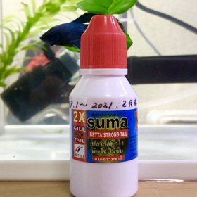 スーマの横で舞うベタちゃんの画像