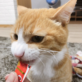 お久しぶりです٩(^‿^)۶の画像