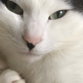 寝起きはまったり→今日の活力の画像