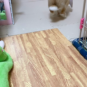 探索なうの画像