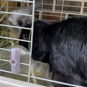 1番よく食べる一家の画像