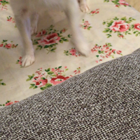 エンドレス遊び。の画像