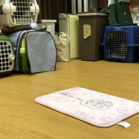 かなり集中力がつきました。の画像