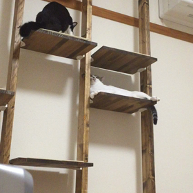 闘いの記録 3の画像