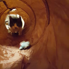 トンネルの画像