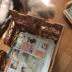 ひとり遊びの画像