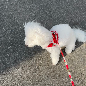 未来のストライキの画像