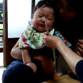 最近のはるるの画像