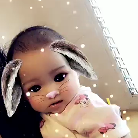 癒され動画の画像