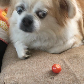 雨の合間にの画像