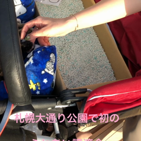 里親探しの会、譲渡会の画像