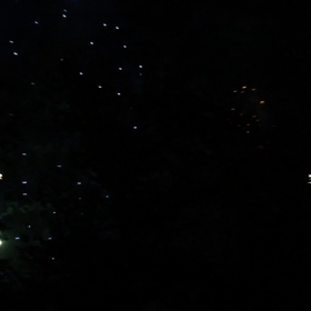 九度山祭り３の画像