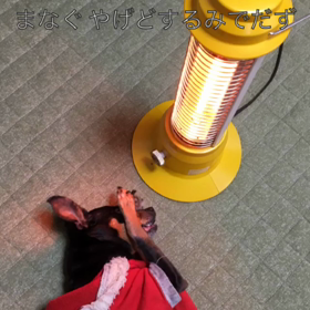 チップの まなぐやげどするみでだずの画像