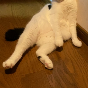 はい、勝ち〰^_^の画像