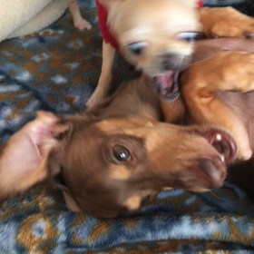 相手に合わせての画像