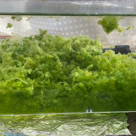 冬支度 ヴァージョンアップ！の画像