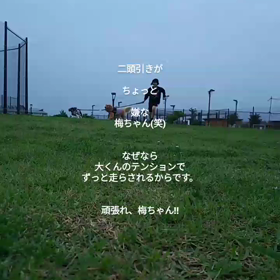 散歩♪散歩♪の画像