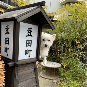日田の街をの画像