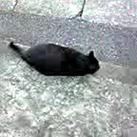 私の可愛い彼女♡の画像