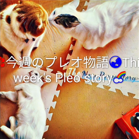 今週のプレオ物語This week's Pleo storyの画像