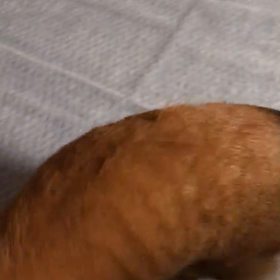 これからの画像