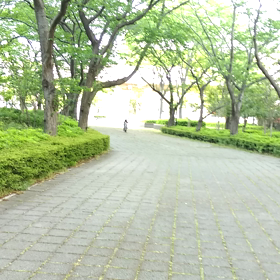 自転車♪の画像