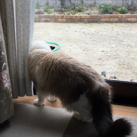 春一番 ②の画像