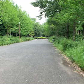 100m記録会 Bグループ③の画像