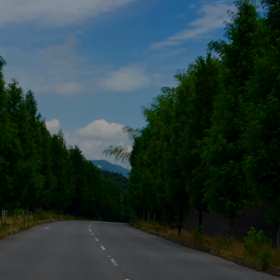 行列覚悟な一日まとめの画像