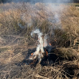 燃えない　ƪ(˘⌣˘)ʃの画像