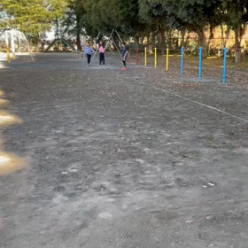 12/9 走り幅跳び⑧の画像