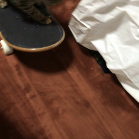 スケボーに乗るすみれちゃんの画像