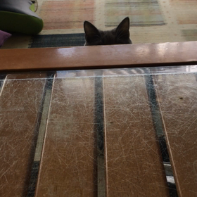 びっくり 仰天‼️の画像