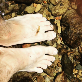 ドクターフィッシュ？の画像