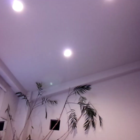 動画です♪の画像