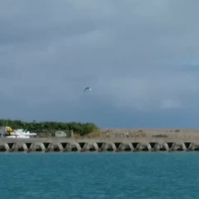 台風並みの風の画像
