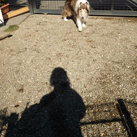 介護と子育ての画像