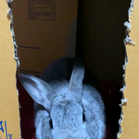 初レッスンはプライベート♪の画像