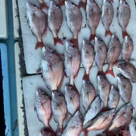 令和３年９月19日(日)　☀晴の画像