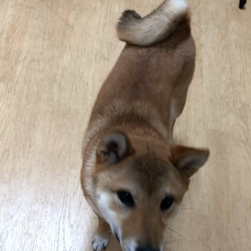 セクシーよ❤️の画像