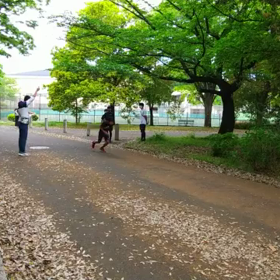 リレー選考会(男子)スタート付近⑪の画像