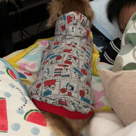 あらら、また？♡の画像