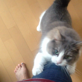 テンションの画像