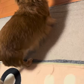 生きてるのにね。の画像