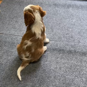 すくすく育っています!の画像