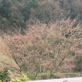 頭がぐるぐるするから頭の中を書いてみるの画像